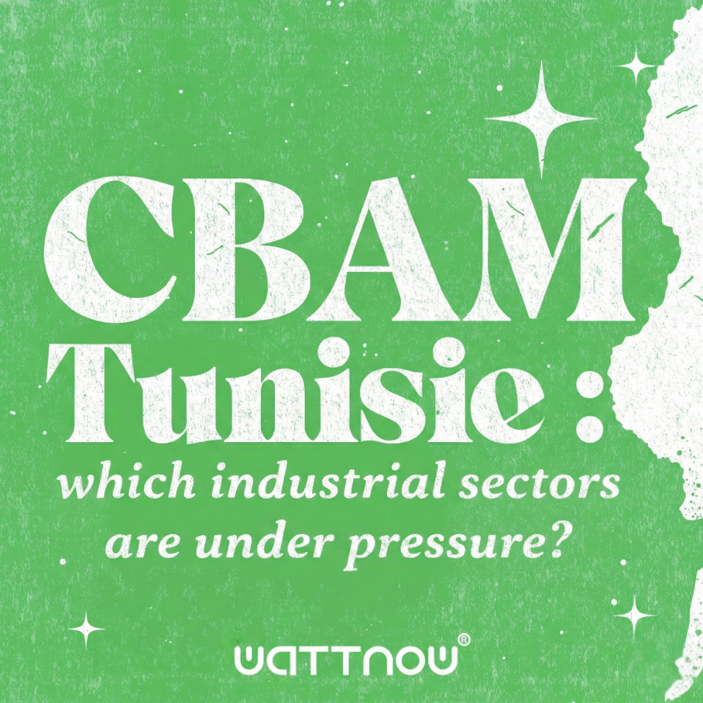 CBAM Tunisia: Which industrial sectors are under pressure? 2 CBAM TUNISIE which industrial sectors are under pressure
