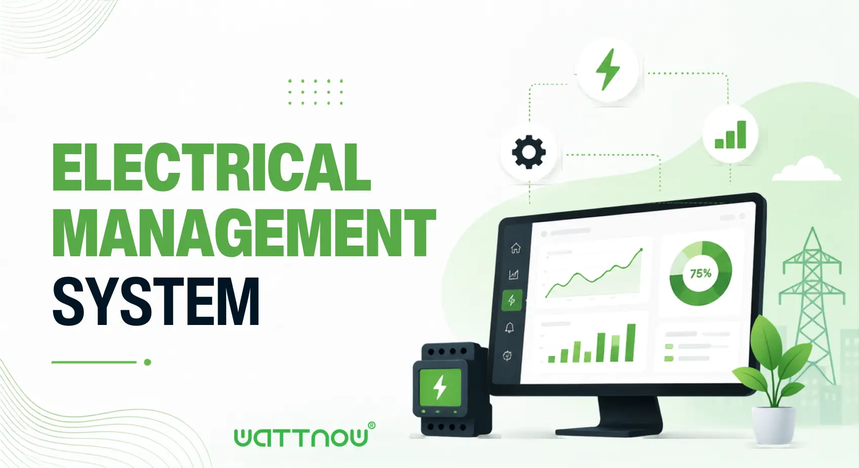 Electrical Management System 1 Electrical Management System - Overview