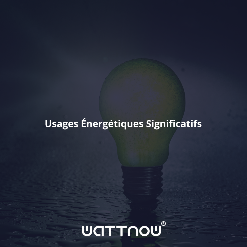 Usages Énergétiques Significatifs 1 Découvrez avec wattnow les usages énergétiques significatifs.